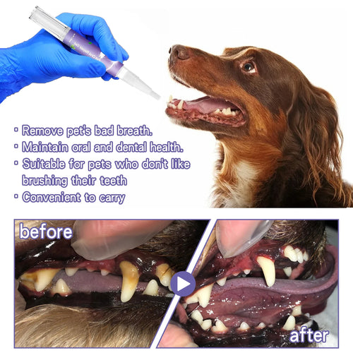Gel de soin dentaire pour animaux de compagnie 3ml, Stylo de nettoyage des dents pour chien et chat